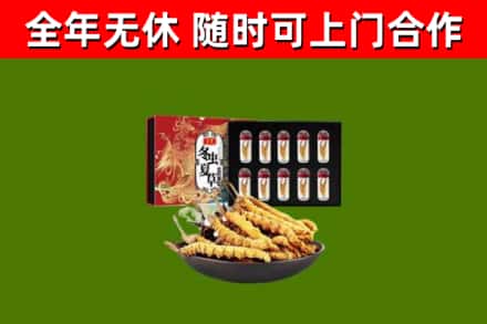 三亚烟酒回收冬虫夏草礼盒.jpg
